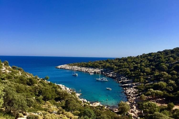 Doria Bay Nature View